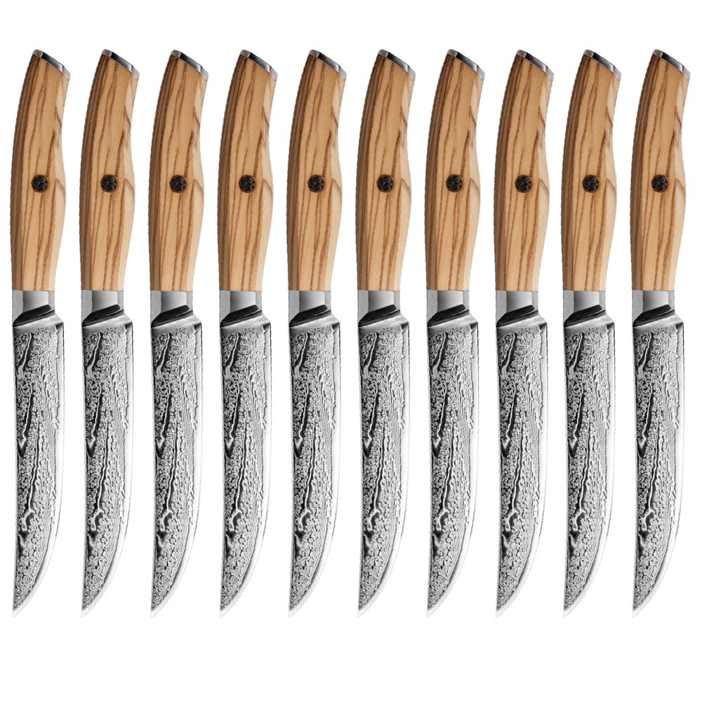10 - Piece Non Serrated Japanese Steak Knife Set - Letcase