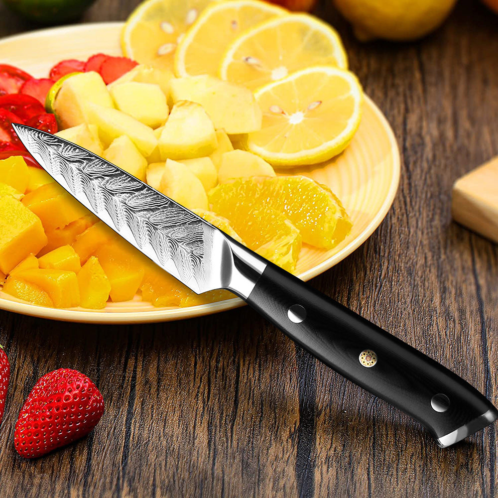 5-Piece Professional Damascus Steel Chef Knife Set