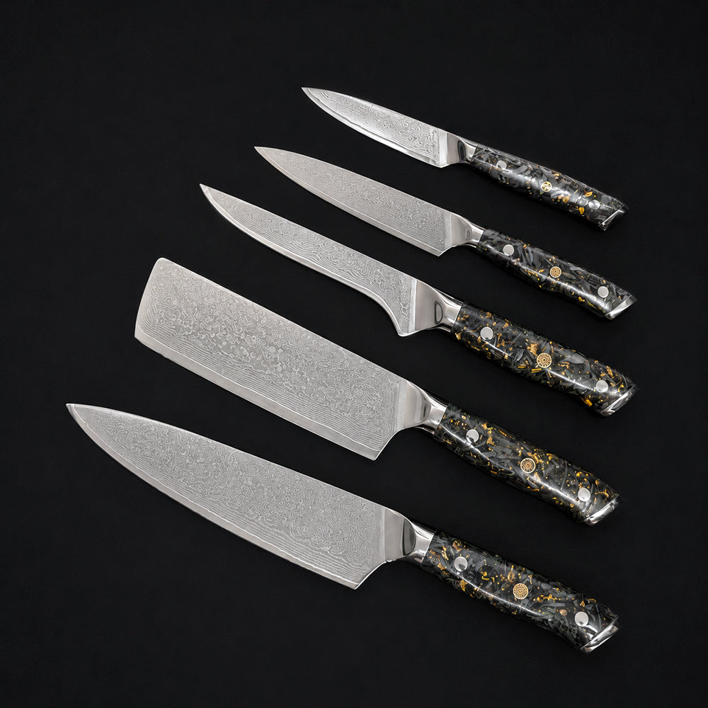 Japanese 67-Layer VG10 Damascus Steel Chef Knife Set