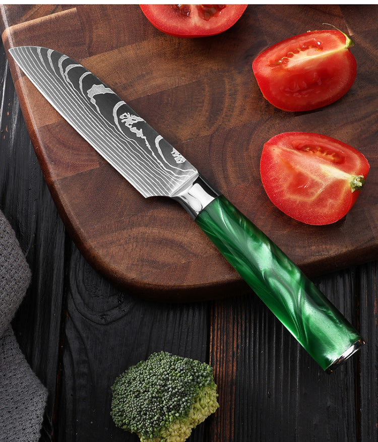 Professional Japanese Kitchen Knife Set with Resin Handle