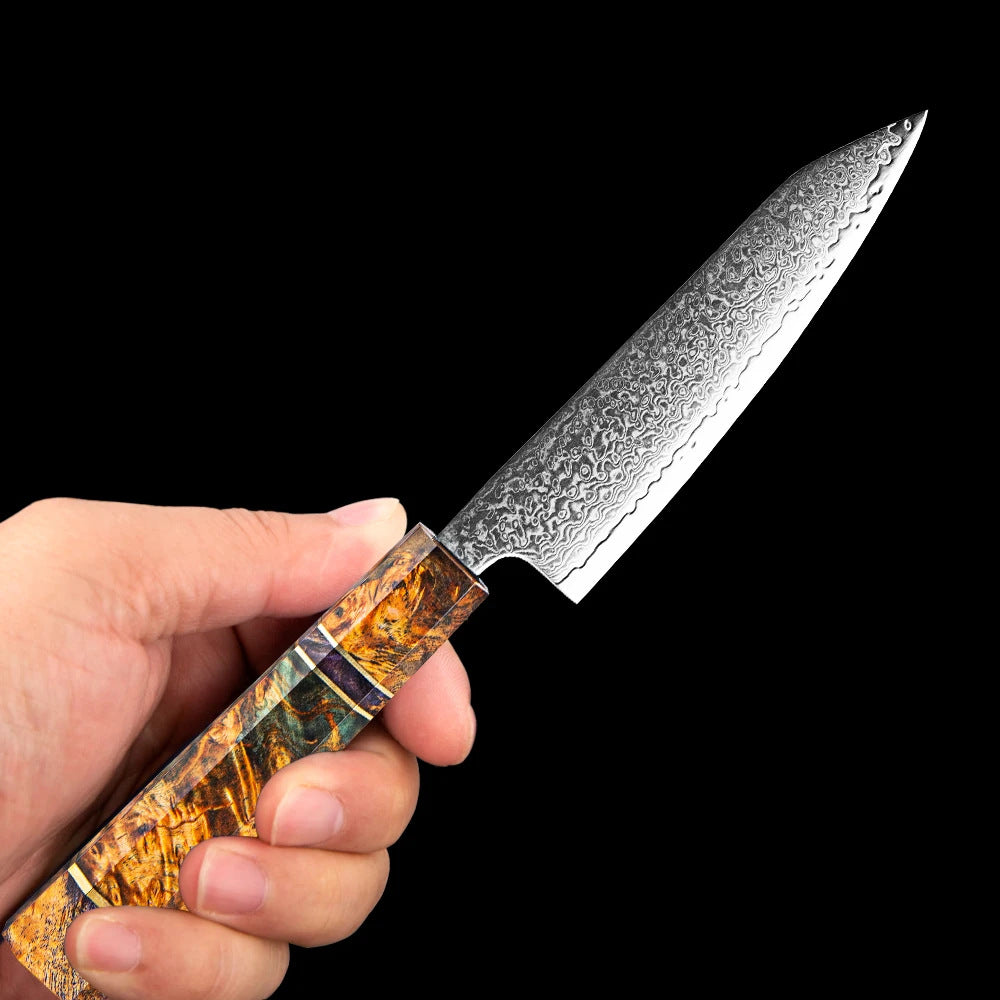 Professional 67-Layer Japanese Damascus Steel Knife Set