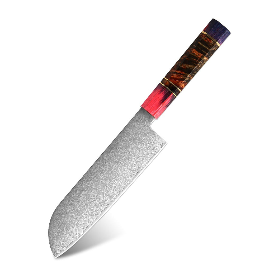 Professional 67-Layer Japanese Damascus Steel Knife Set