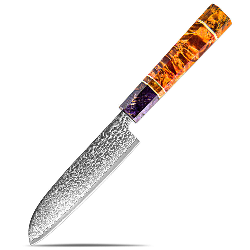Professional 67-Layer Japanese Damascus Steel Knife Set