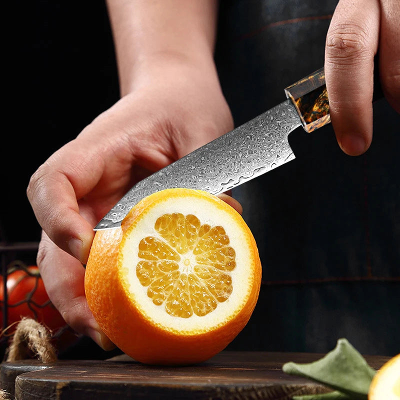 Professional 67-Layer Japanese Damascus Steel Knife Set