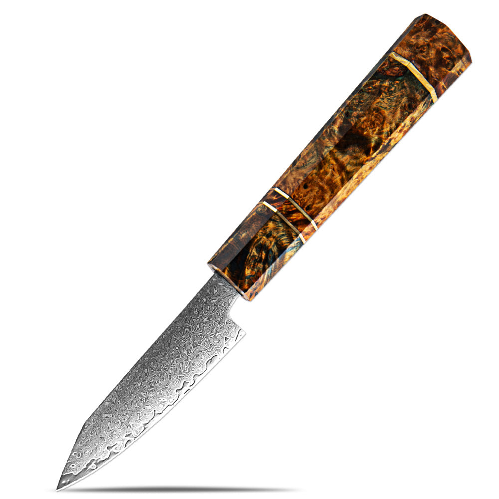 Professional 67-Layer Japanese Damascus Steel Knife Set
