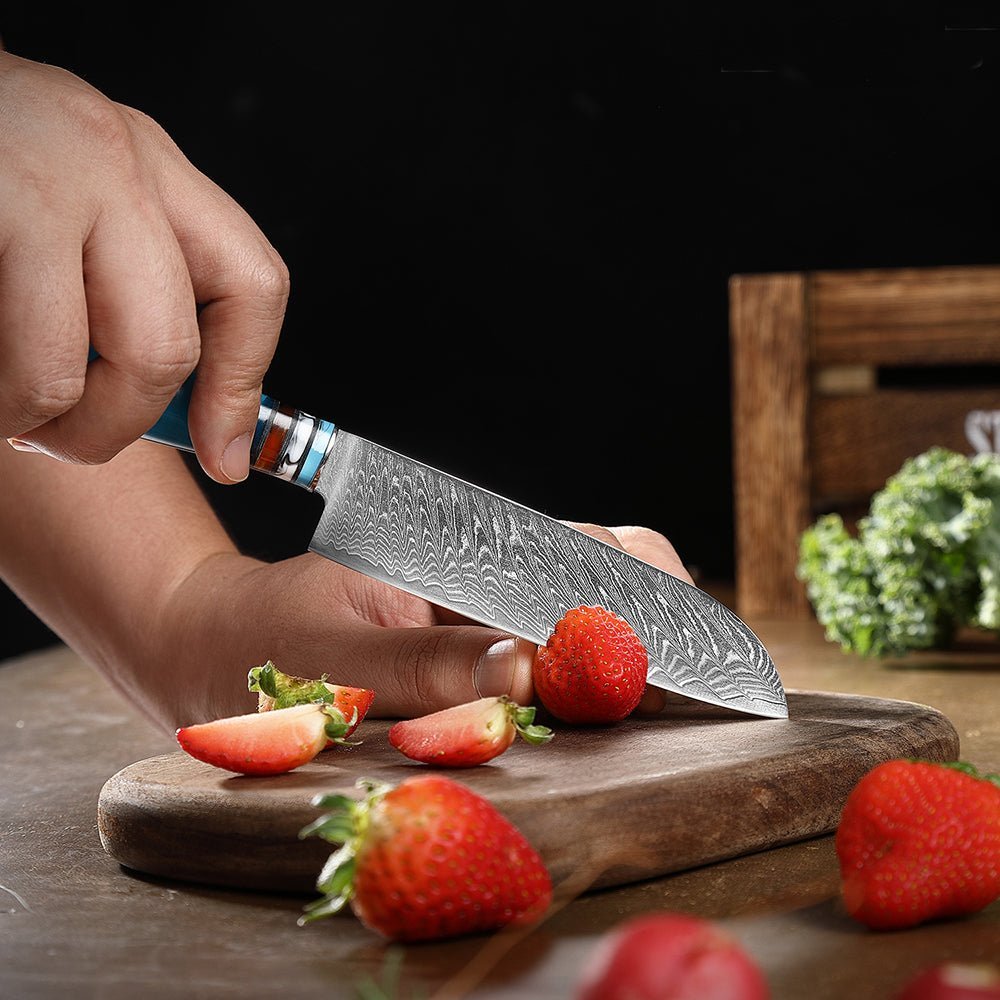 10 Piece Japanese Damascus Kitchen Knives Set - Letcase