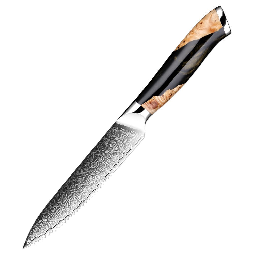 4 Piece Damascus Steak Knife Set With Resin Handle - Letcase