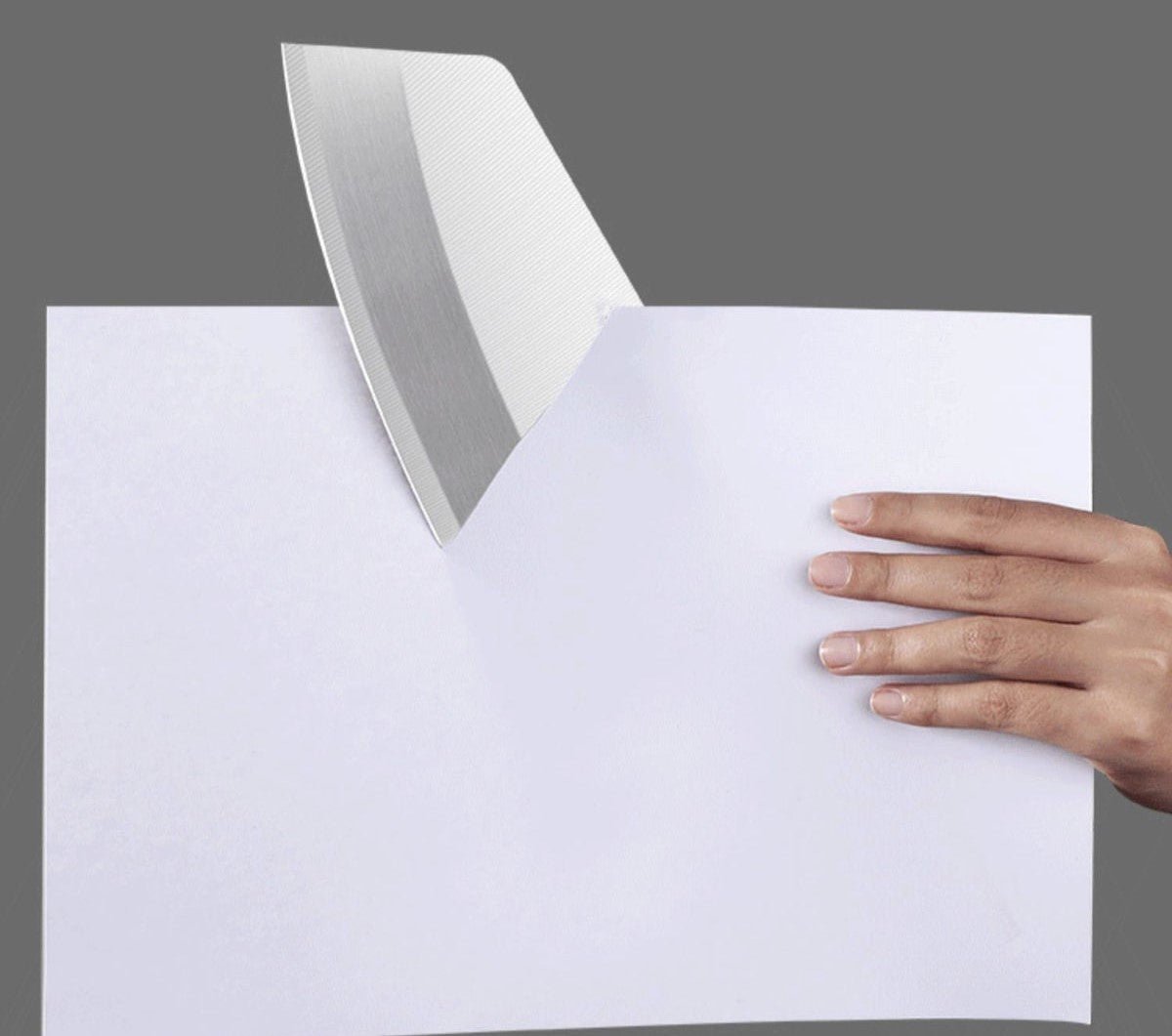 8 Inch Stainless Steel Chinese Cleaver Knife - Letcase