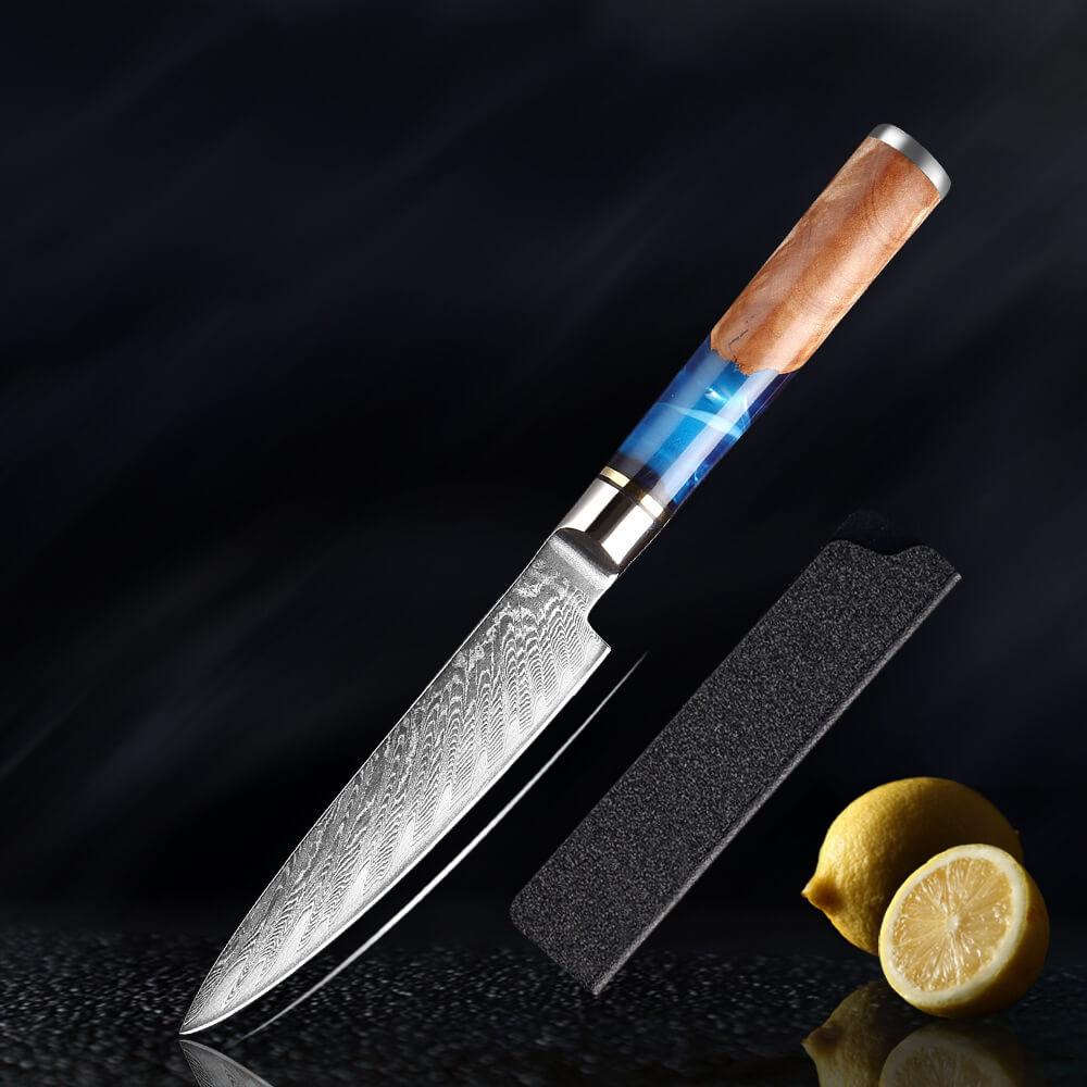 Hand Forged Chef Knives, Damascus Steel Knife, Colored Blue Resin Handle - Letcase