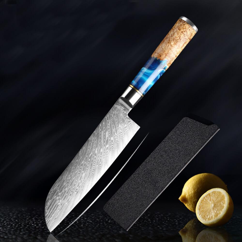 Hand Forged Chef Knives, Damascus Steel Knife, Colored Blue Resin Handle - Letcase