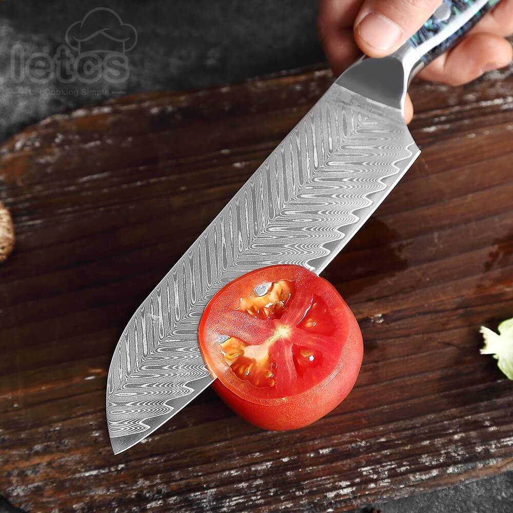 Japanese Damascus Steel Knife Set With Abalone Shell Handle - Letcase