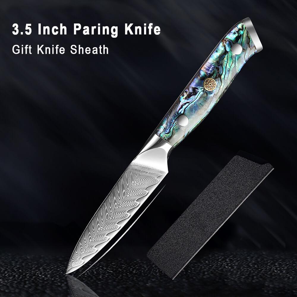 Japanese Damascus Steel Knife Set With Abalone Shell Handle - Letcase