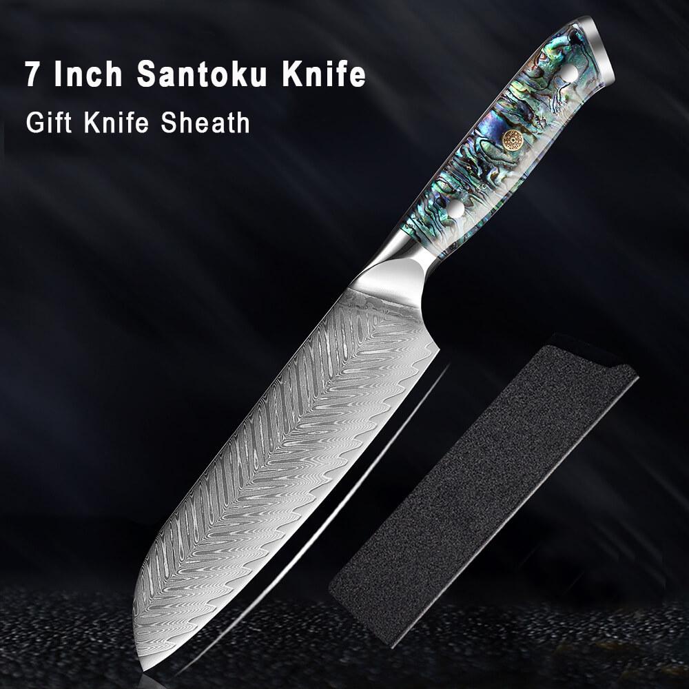 Japanese Damascus Steel Knife Set With Abalone Shell Handle - Letcase