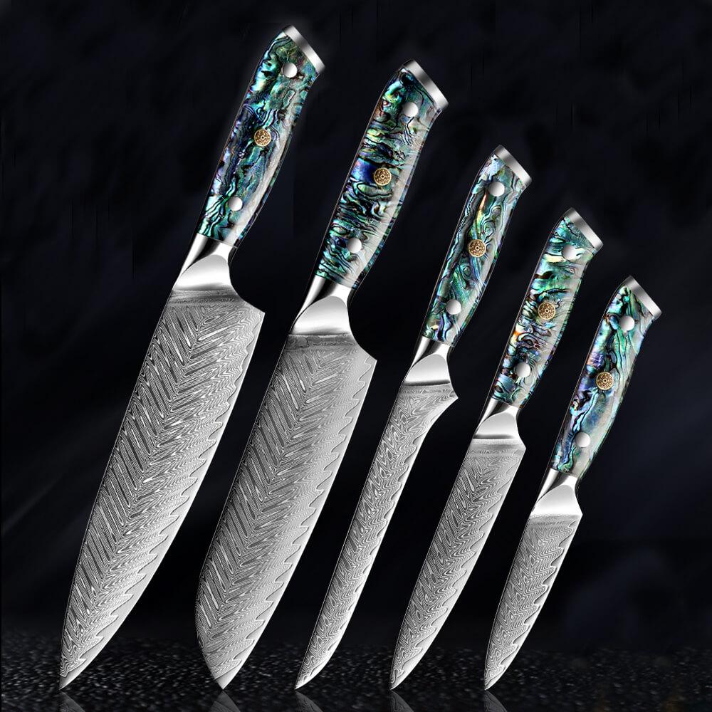 Japanese Damascus Steel Knife Set With Abalone Shell Handle - Letcase