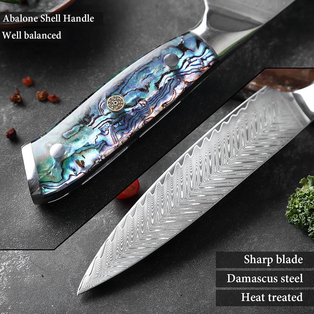 Japanese Damascus Steel Knife Set With Abalone Shell Handle - Letcase