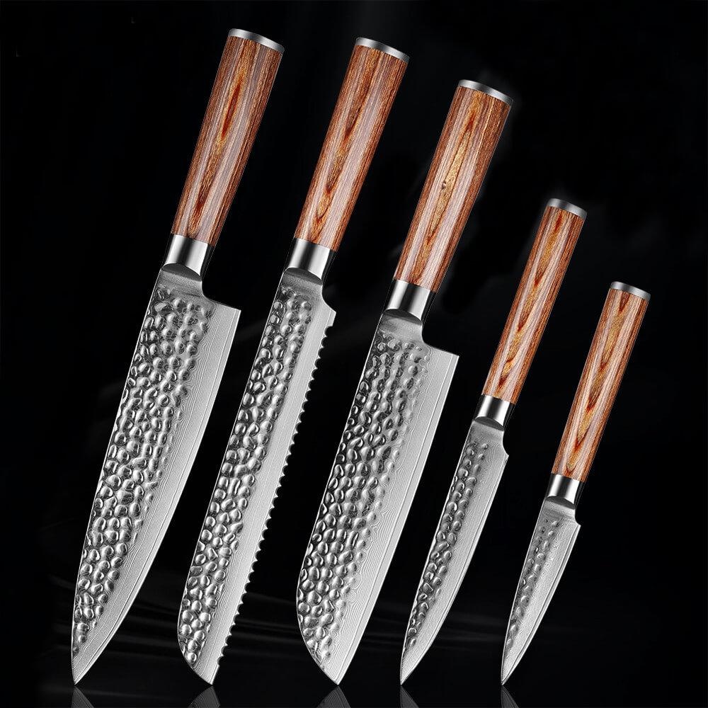 Kitchen Damascus Knife Set 5-Piece Professional Chef Knife Santoku Bread Utility Paring Knife - Letcase