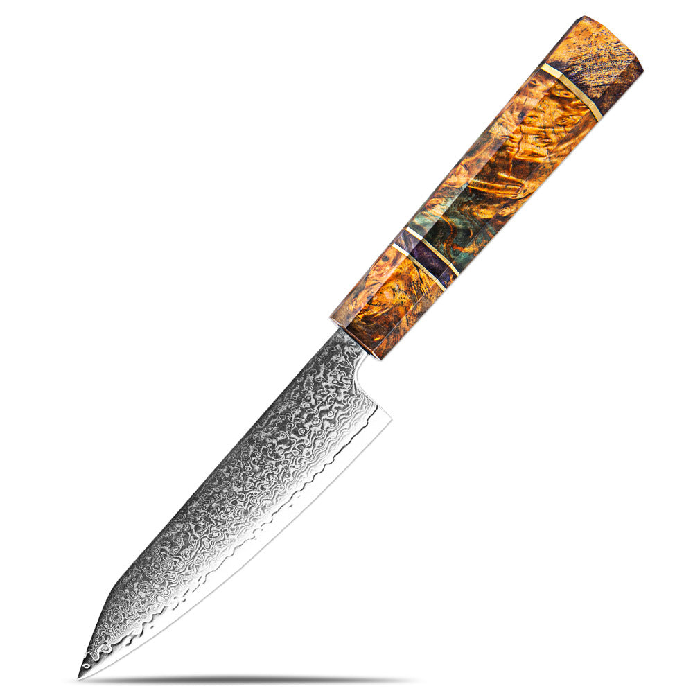 Professional 67-Layer Japanese Damascus Steel Knife Set