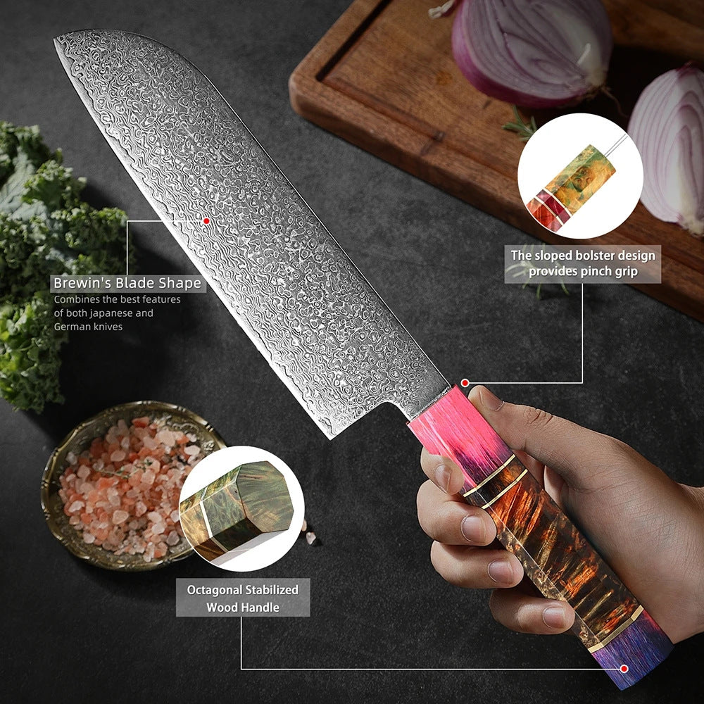 Professional 67-Layer Japanese Damascus Steel Knife Set