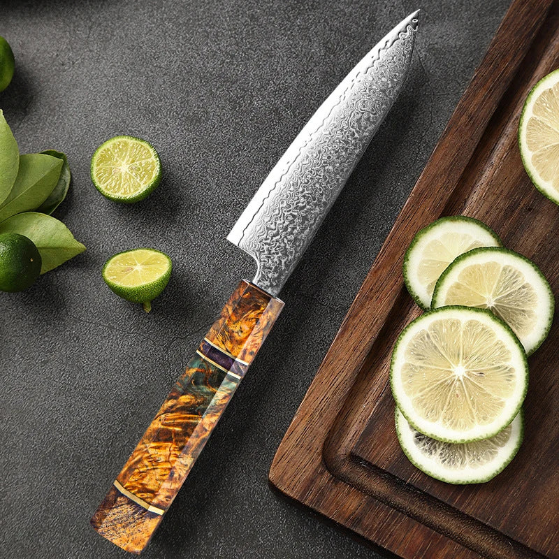 Professional 67-Layer Japanese Damascus Steel Knife Set