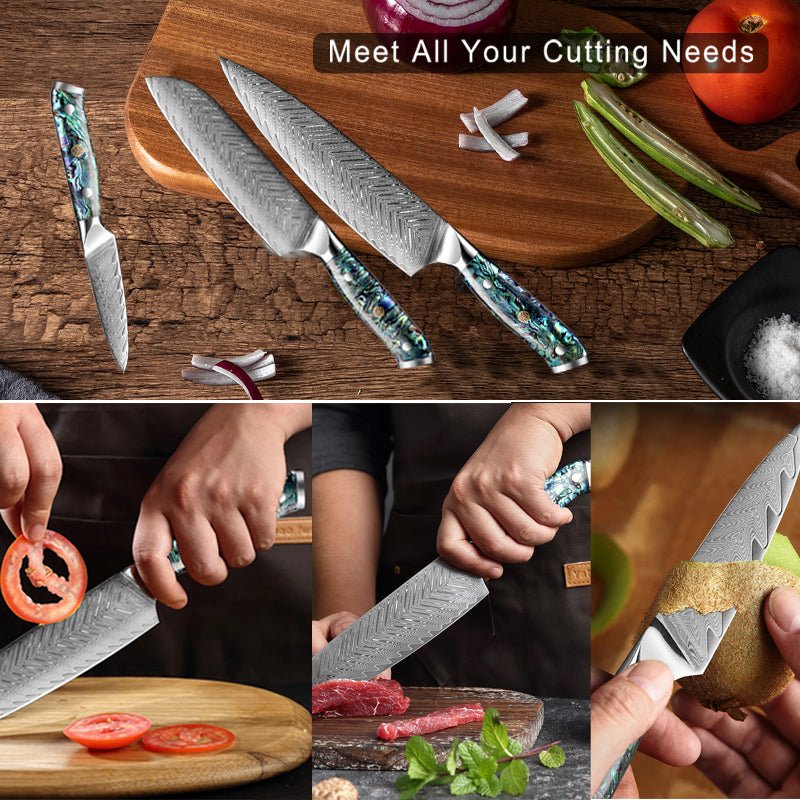 Starter Chef Knife Set with VG10 Damascus Steel - Letcase