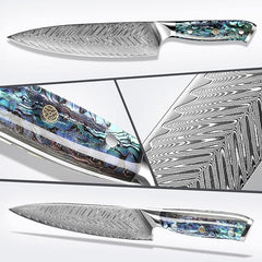 Starter Chef Knife Set with VG10 Damascus Steel - Letcase