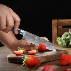 10 Piece Japanese Damascus Kitchen Knives Set - Letcase