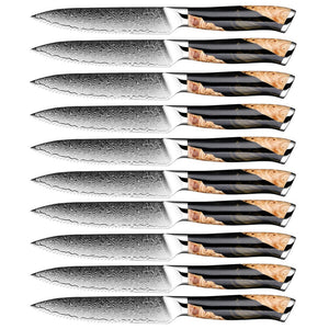 10 Piece Serrated Steak Knife Set With Resin Handle - Letcase