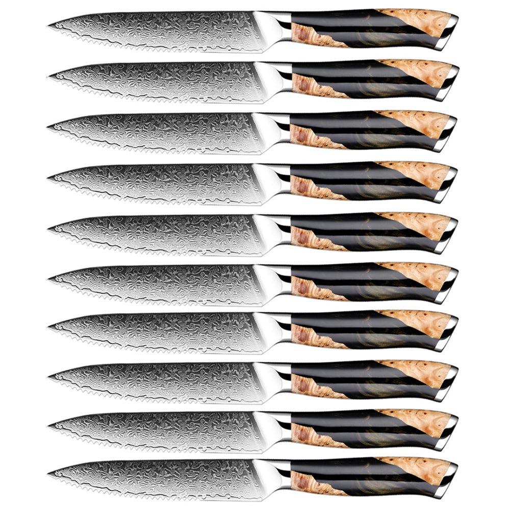 10 Piece Serrated Steak Knife Set With Resin Handle - Letcase