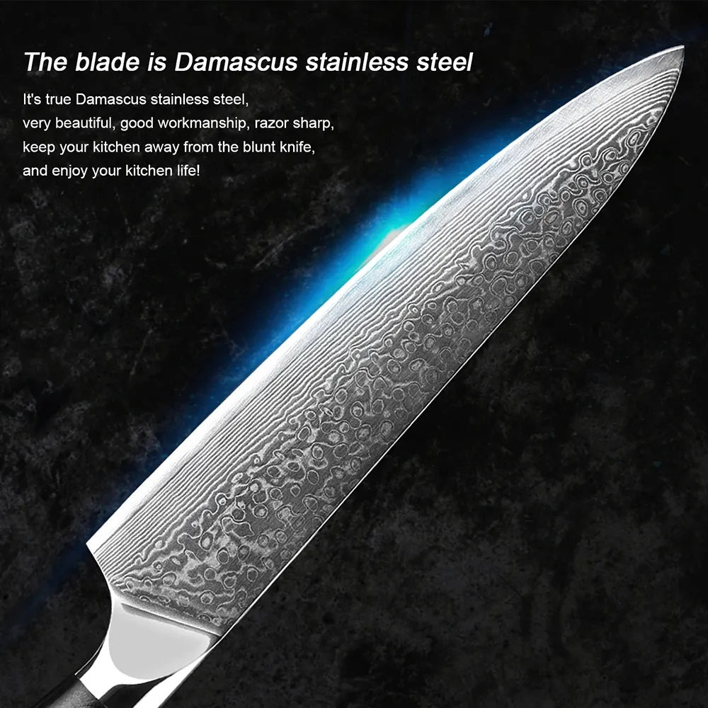 11-Piece 67 Layers VG10 Damascus Steel Chef Knife Set - Letcase