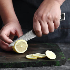 11-Piece 67 Layers VG10 Damascus Steel Chef Knife Set - Letcase