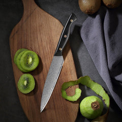 4-Piece Damascus Chef Knife Set With Triple Riveted Wood Handle - Letcase