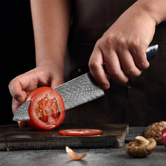 4-Piece Damascus Japanese Knife Set - Letcase