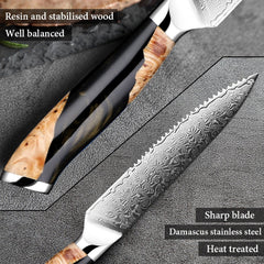 4 Piece Damascus Steak Knife Set With Resin Handle - Letcase