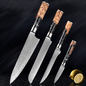 4 Piece Damascus Steel Chef Knife Set - Letcase
