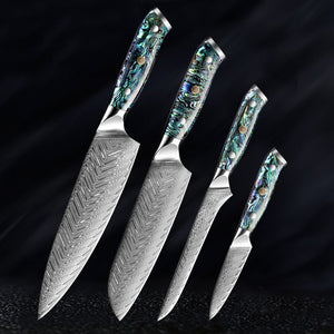 4-Piece Japanese Damascus Steel Chef Knife Set - Letcase