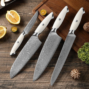 4-Piece Professional Damascus Knife Set - Letcase