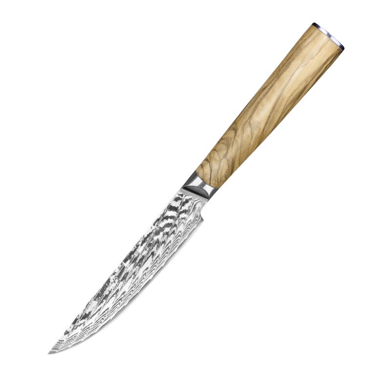 https://www.letcase.com/cdn/shop/products/4-pieces-steak-knife-set-japanese-damascus-steel-olive-wood-handle-437850_480x480@2x.jpg?v=1653267762