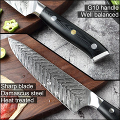 Hand Forged Damascus Kitchen Knife Set G10 Handle