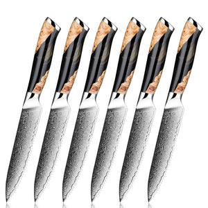 6 Piece Damascus Steak Knife Set With Resin Handle - Letcase