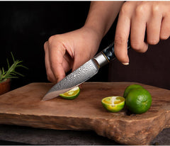 7 Piece Damascus Kitchen Knife Set Ultra-sharp 67 Layer Japanese Chef Knives - Letcase