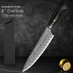 7 Piece Kitchen Knife Set 67 Layers Damascus Steel Chef Knives - Letcase