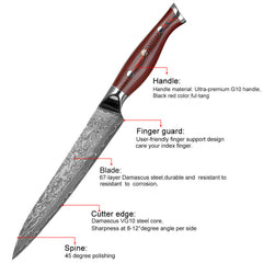 Damascus Slicing Knife VG-10 Steel Core 67 Layer, G-10 Handle - Letcase