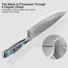 Japanese Damascus Steel Knife Set With Abalone Shell Handle - Letcase