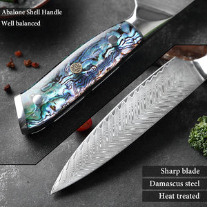randy Handmade Damascus Kitchen Chef Knife Set - Professional Damascus  Steel Knife Set - 10 pcs Japanese Damascus Knife Set With Leather