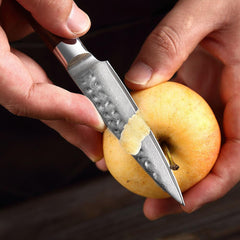 Kitchen Damascus Knife Set 5-Piece Professional Chef Knife Santoku Bread Utility Paring Knife - Letcase