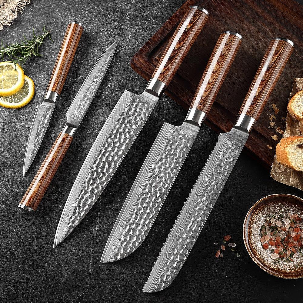 Kitchen Damascus Knife Set 5-Piece Professional Chef Knife Santoku Bread Utility Paring Knife - Letcase