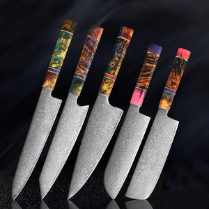 Professional Chef Knives Set, Damascus Kitchen Knives With Solidified Wood Handle - Letcase