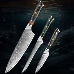 Professional Japanese Damascus Chef Knife Set - Letcase