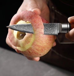 Professional Multipurpose Cooking Knife Set, VG10 Damascus Steel - Letcase